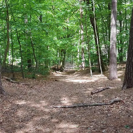 度假居 Luxury Retreat With Pool - By Traum Oster Vrogum