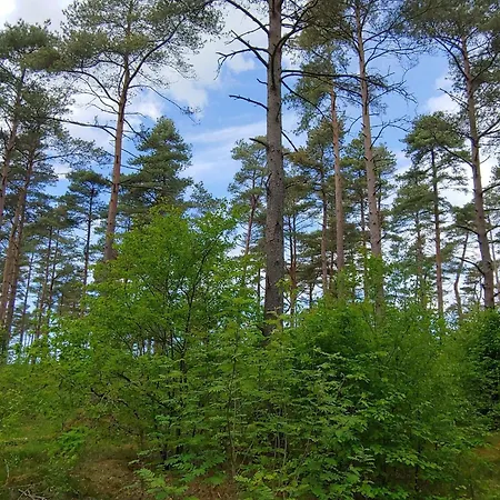 度假居 4 Star Holiday Home In Oksbol *